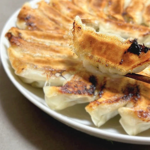 Arita Wagyu gyoza (unheated)