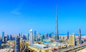 From Japan to the UAE NIKUJILLE Launches Full-Scale Halal Wagyu Exports to the Middle East