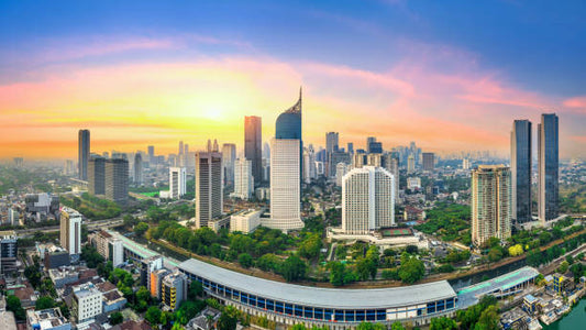 Wagyu Strategy Seminar in Indonesia — Halal-Certified “Arita Wagyu” Set to Enter the Market🇮🇩