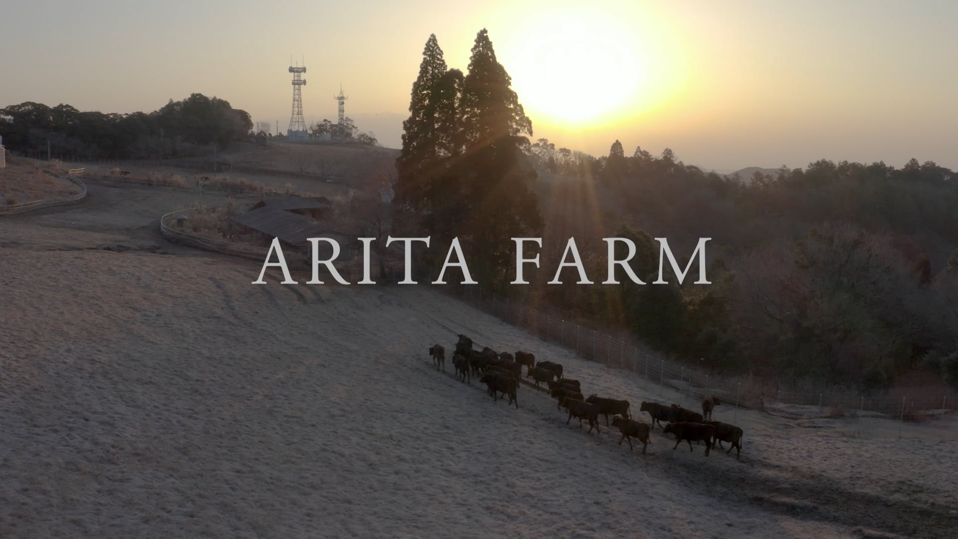 載入影片：ARITA FARM VIDEO